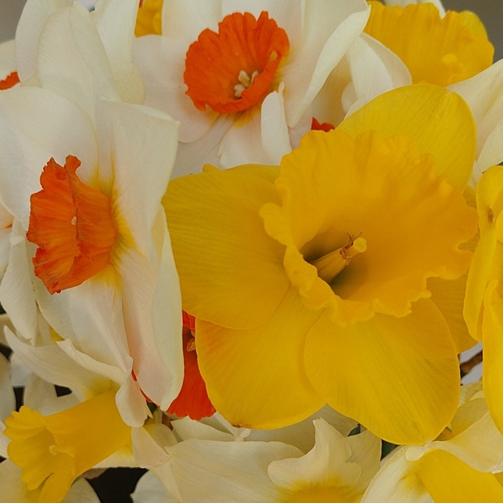 Meet your Posher, Jen